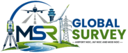 MSR Global Survey